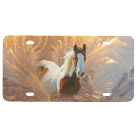 Paint Horse Gold License Plate