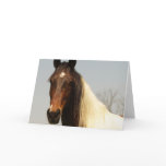 Paint Horse Greeting Card