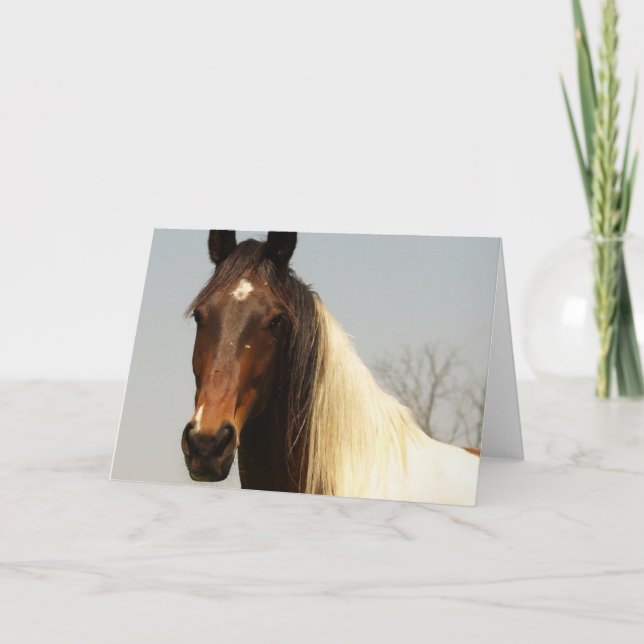 Paint Horse Greeting Card (Front)