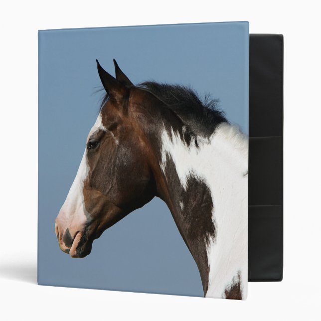 Paint Horse Headshot 1 Binder (Front/Inside)