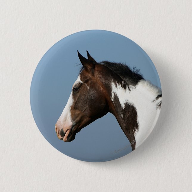 Paint Horse Headshot 1 Pinback Button (Front)