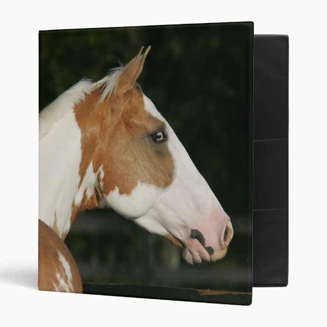 Paint Horse Headshot 2 Binder (Front/Inside)
