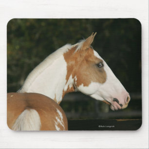 Paint Horse Headshot 2 Mouse Pad