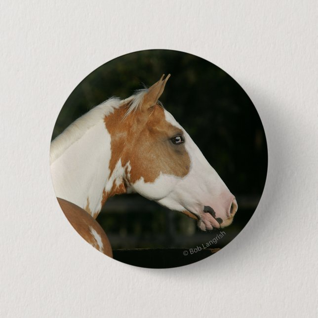 Paint Horse Headshot 2 Pinback Button (Front)