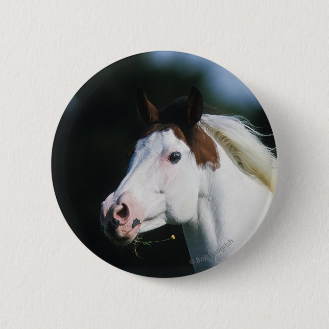 Paint Horse Headshot 3 Button (Front)