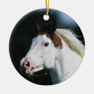 Paint Horse Headshot 3 Ceramic Ornament