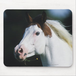 Paint Horse Headshot 3 Mouse Pad