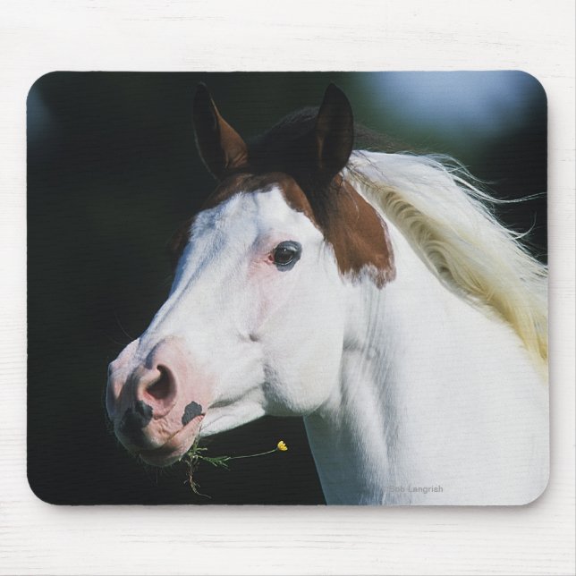 Paint Horse Headshot 3 Mouse Pad (Front)