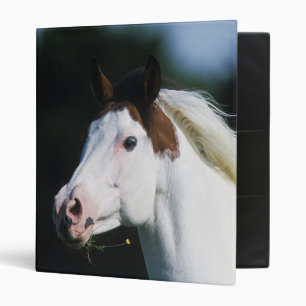 Paint Horse Headshot 3 Ring Binder