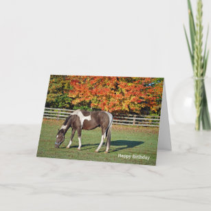 Paint horse in autumn pasture Birthday Card