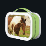 Paint Horse Lunch Box<br><div class="desc">Lunch box</div>