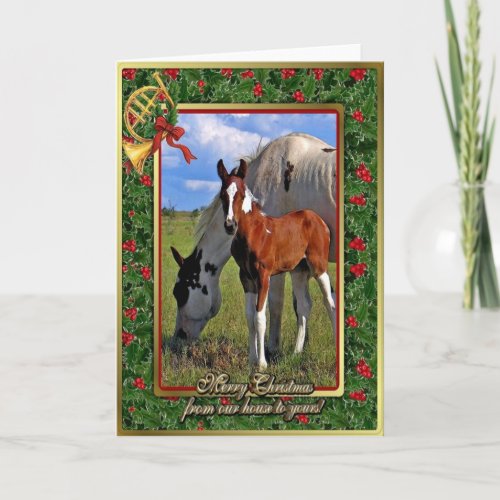 Paint Horse Mare And Foal Blank Christmas Card