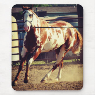 Paint Horse Mouse Pad