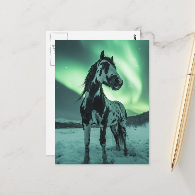 Paint Horse Northern Lights Postcard (Front/Back In Situ)