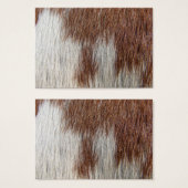 Paint Horse Pattern (Front & Back)