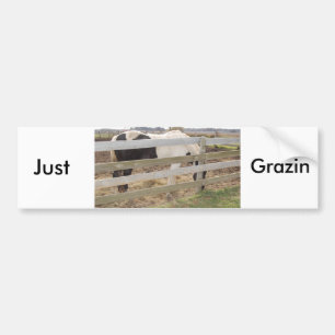 Paint Horse/Pinto Bumper Sticker