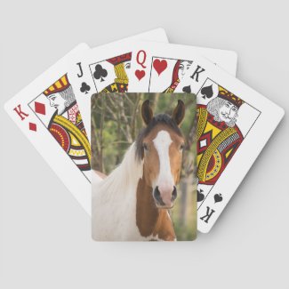Paint Horse
