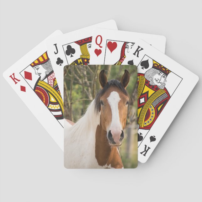 Paint Horse Poker Cards (Back)