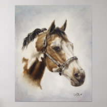 Paint Horse Poster