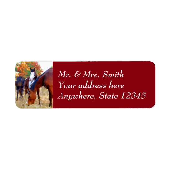 Paint Horse Return Address Labels