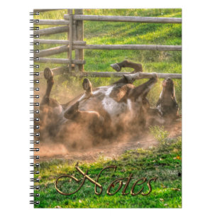Paint Horse Rolling in Dust Funny Equine Photo Notebook