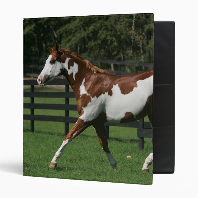 Paint Horse Running 1 Binder (Front/Inside)