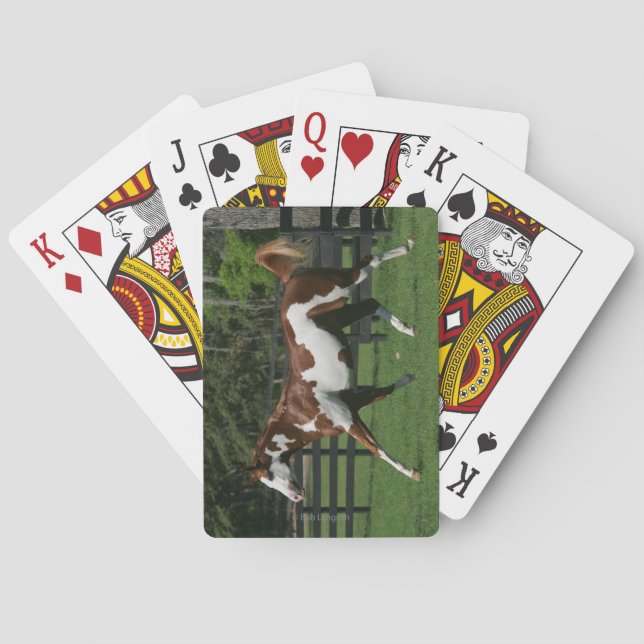 Paint Horse Running 1 Poker Cards (Back)