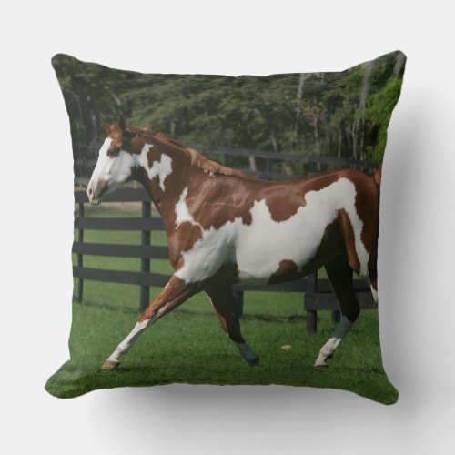 Paint Horse Running 1 Throw Pillow