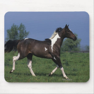 Paint Horse Running 2 Mouse Pad