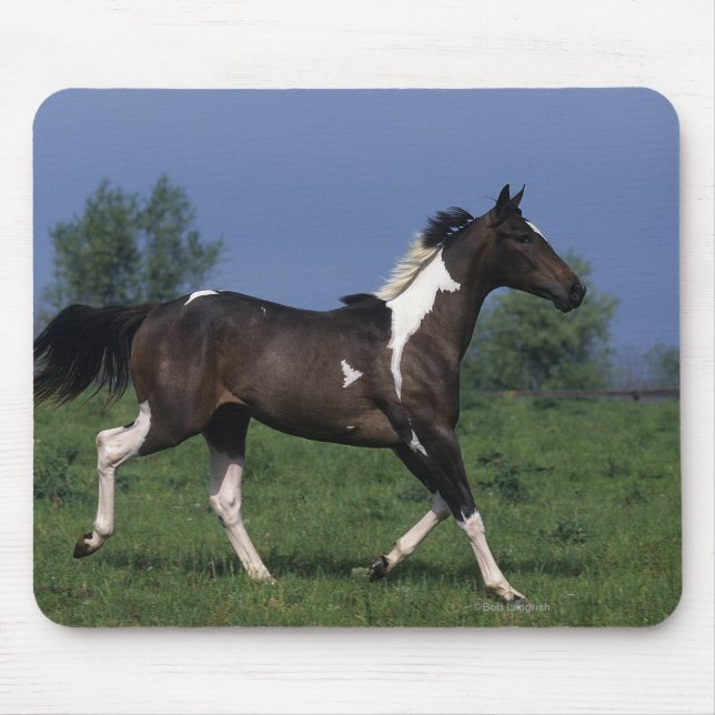 Paint Horse Running 2 Mouse Pad (Front)