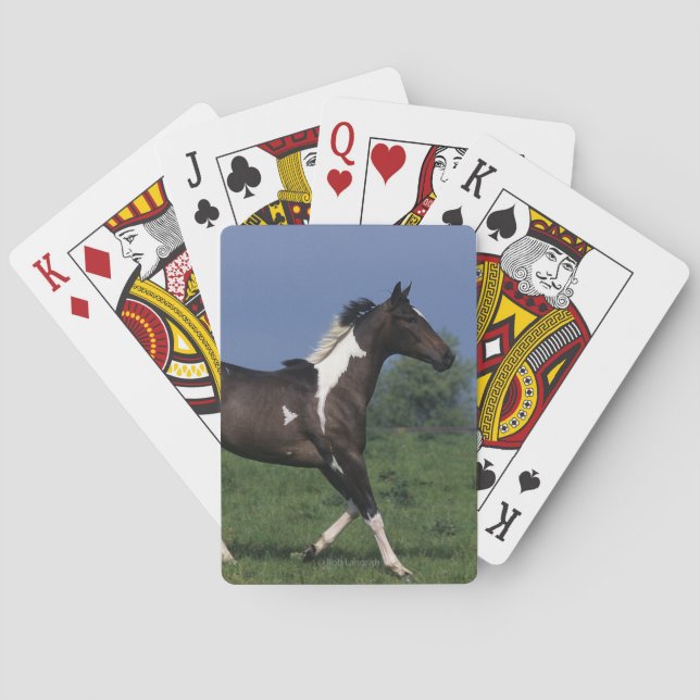 Paint Horse Running 2 Poker Cards (Back)