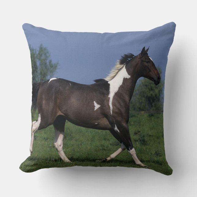 Paint Horse Running 2 Throw Pillow (Front)