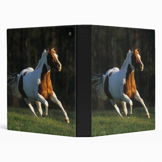 Paint Horse Running Fast Binder (Background)