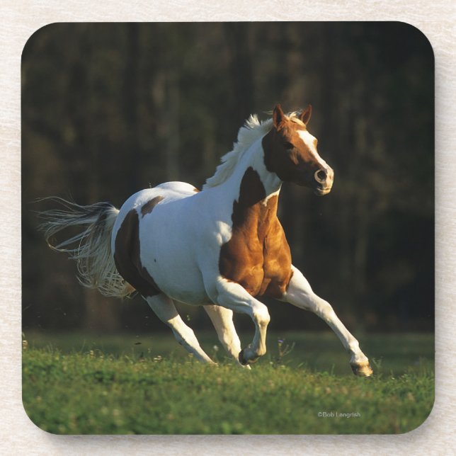 Paint Horse Running Fast Drink Coaster (Front)