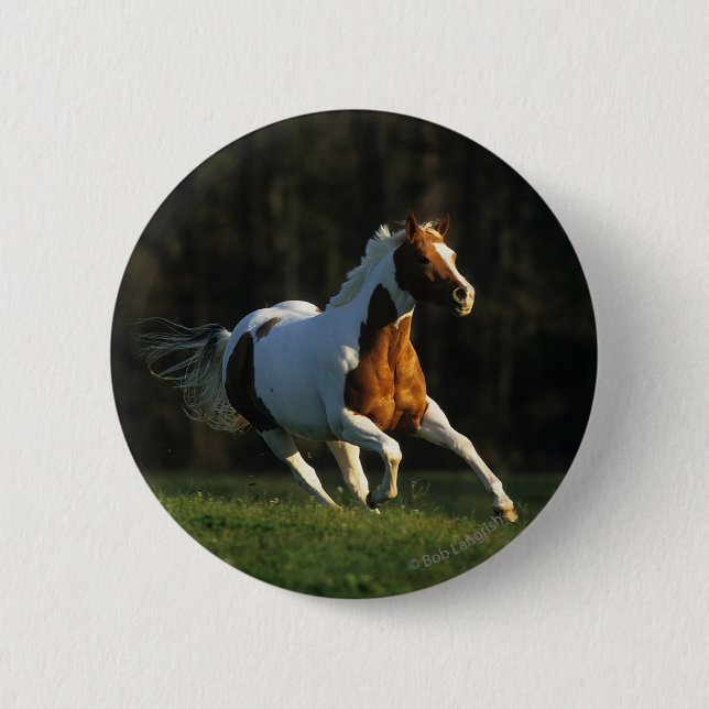 Paint Horse Running Fast Pinback Button (Front)