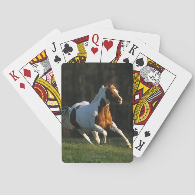 Paint Horse Running Fast Poker Cards (Back)