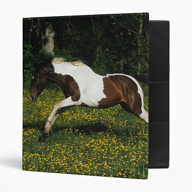 Paint Horse Running in Field of Flowers 3 Ring Binder (Front/Inside)