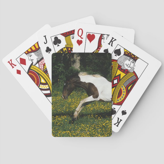 Paint Horse Running in Field of Flowers Poker Cards (Back)
