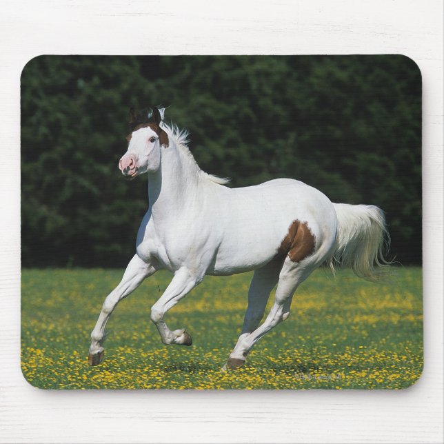Paint Horse Running in Grassy Field Mouse Pad (Front)