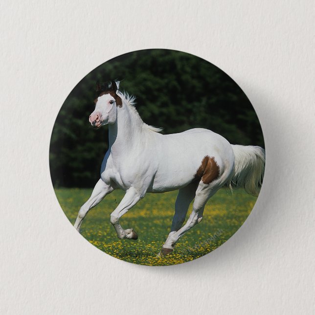 Paint Horse Running in Grassy Field Pinback Button (Front)