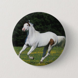 Paint Horse Running in Grassy Field Pinback Button