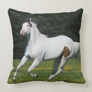 Paint Horse Running in Grassy Field Throw Pillow