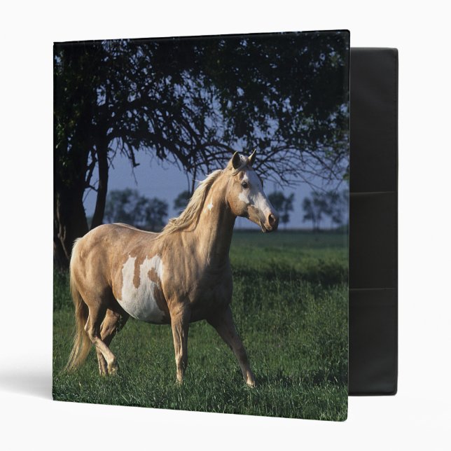 Paint Horse Standing 2 3 Ring Binder (Front/Inside)
