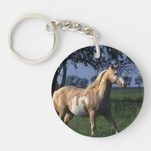 Paint Horse Standing 2 Keychain