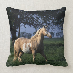 Paint Horse Standing 2 Throw Pillow