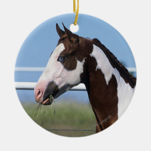 Paint Horse Standing Ceramic Ornament