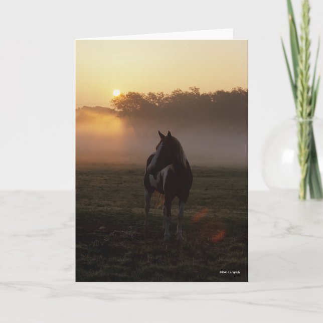 Paint Horse Standing In Mist At Sunrise Card (Front)