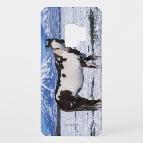 Paint Horse Standing in the Snow Case_Mate Samsung Galaxy S9 Case