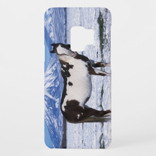 Paint Horse Standing in the Snow Case_Mate Samsung Galaxy S9 Case