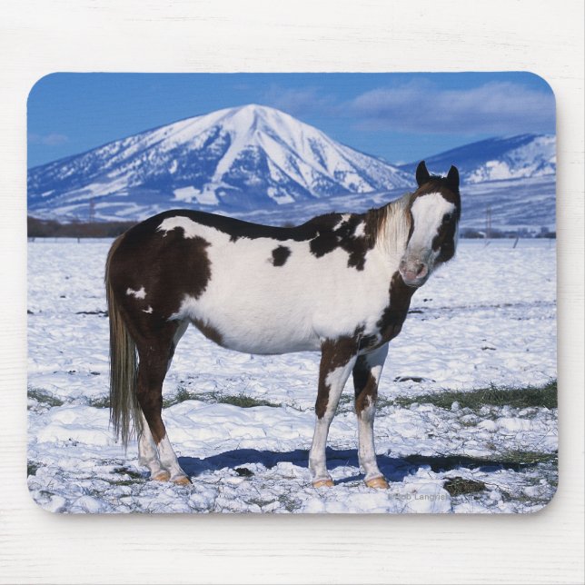 Paint Horse Standing in the Snow Mouse Pad (Front)